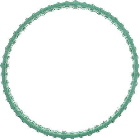 Reinz Fuelinjt Plen Gkt St, 15-11024-01 15-11024-01